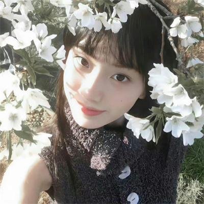 玉腿花拳